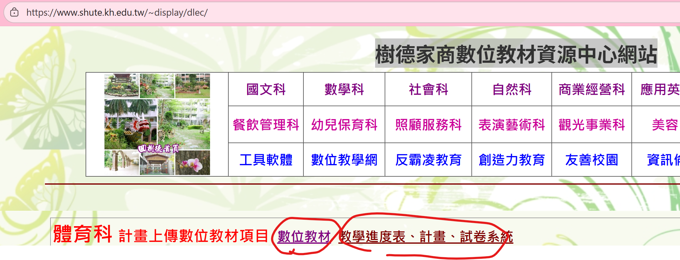 圖片