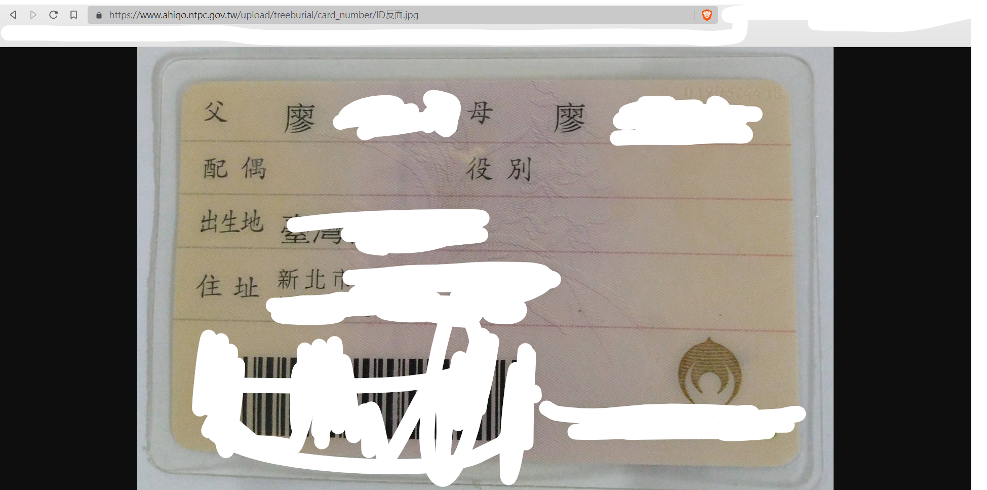 圖片