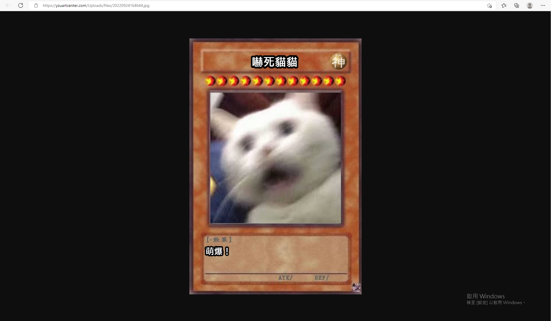 圖片